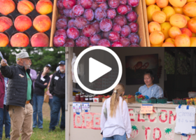 A photo collage of various fruits, a man talking to a group and a young woman buying strawberries at a farm stand.