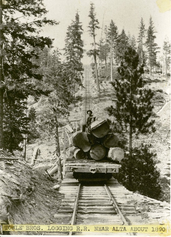 1890's circa image of man standing on a rail car loaded with timber as it sits on train tracks sounded by hills and trees.