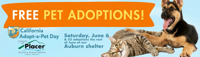 A promotional banner reads “Free Pet Adoptions!” in large orange and yellow text. Below, it announces “California Adopt‑a‑Pet Day,” “Saturday, June 6