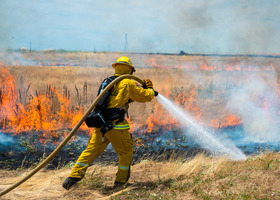 A male firefighter uses a water hose to extinguish a field that is on fire.