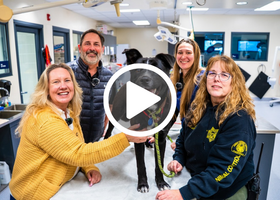 Four people surrounding a happy dog smile for the camera at the county animal shelter. With play button overlay