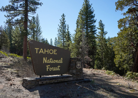 Brown Tahoe National Forest sign in the wilderness with green trees in the background