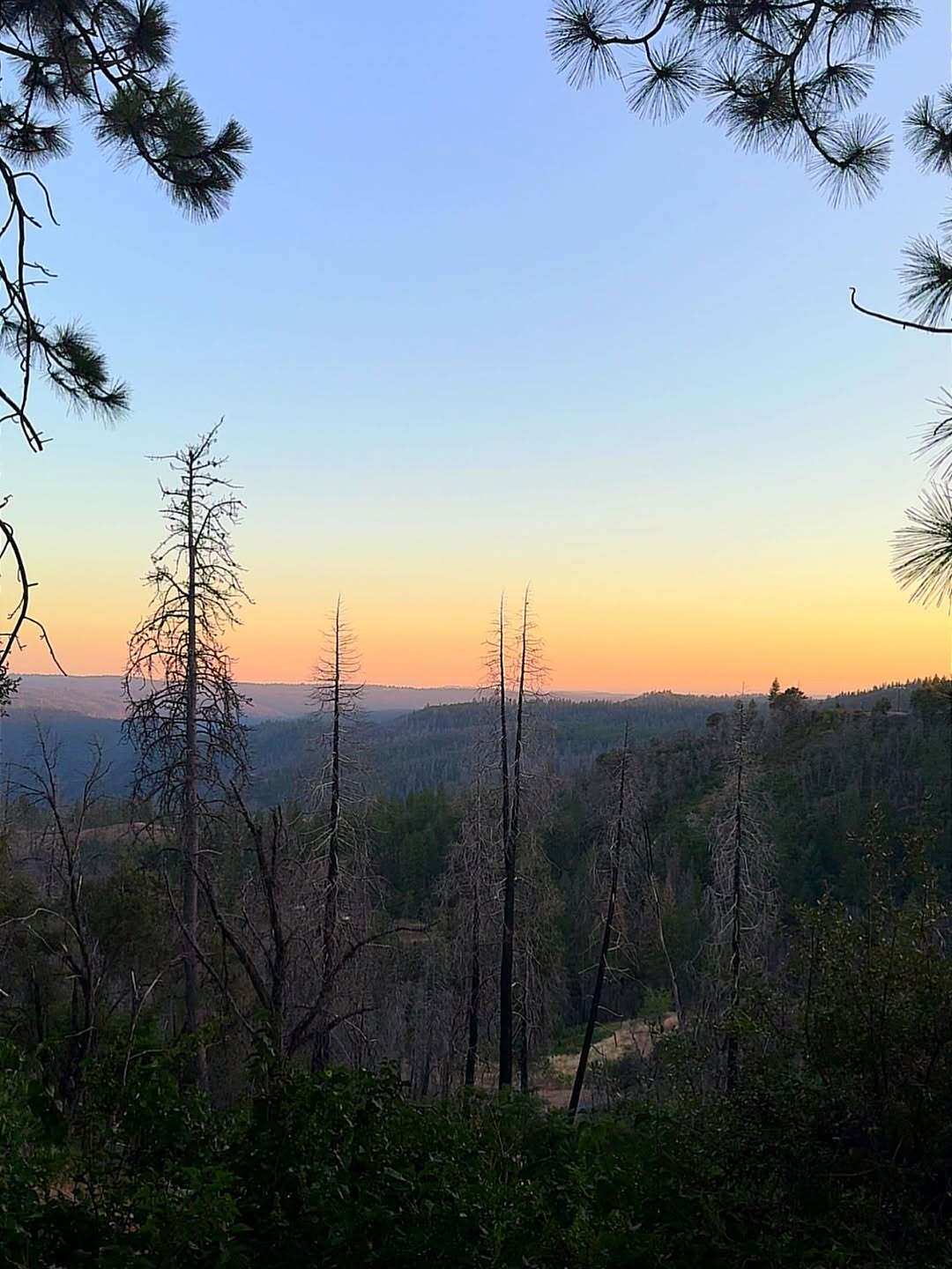 Sunset in a mountain canyon seen through a framing of trees