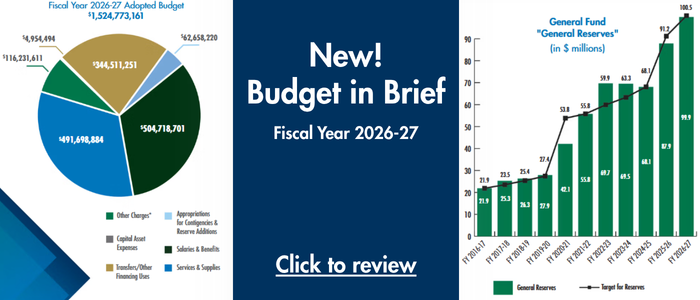 Picture of Budget Brief cover. Text encouraging people to click to view the brief and a pie chart page from the brief.