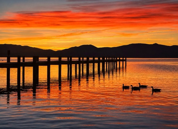 Ducks swimming on Lake Tahoe at sunset next to a dock