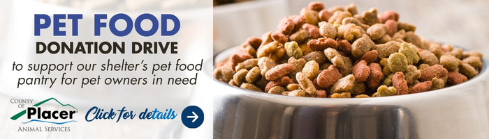 Banner showing a stainless-steel bowl filled with colorful dry pet food with text promoting pet food drive linking to page with more details