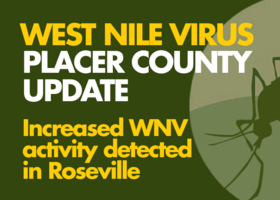 Illustration of a mosquito. Text reads: West Nile Virus Placer County update. Increased WNV activity detected in Roseville
