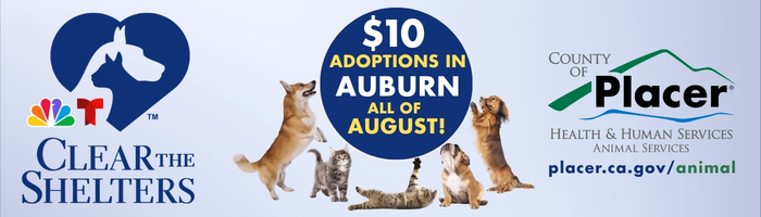 Banner for "Clear the Shelters:$10 adoptions in Auburn all of August" for Placer Animal Services