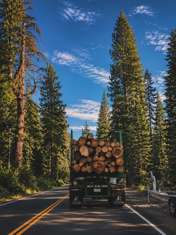 a logging truck on the road in Tahoma