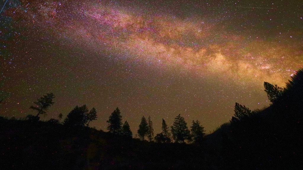 A star-filled sky over the darkened silhouettes of trees