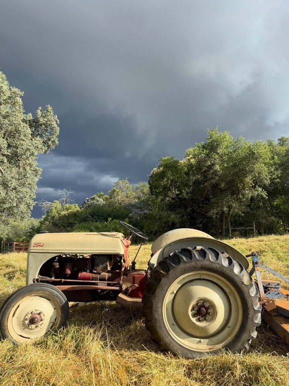 dusty yellow tractor on a yellow field with trees and a gloomy sky in the background