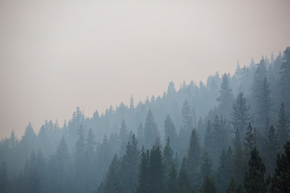 Grayish smoke covering a green forest