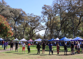 People standing in a park near multiple colorful tents under tall trees on a sunny day.