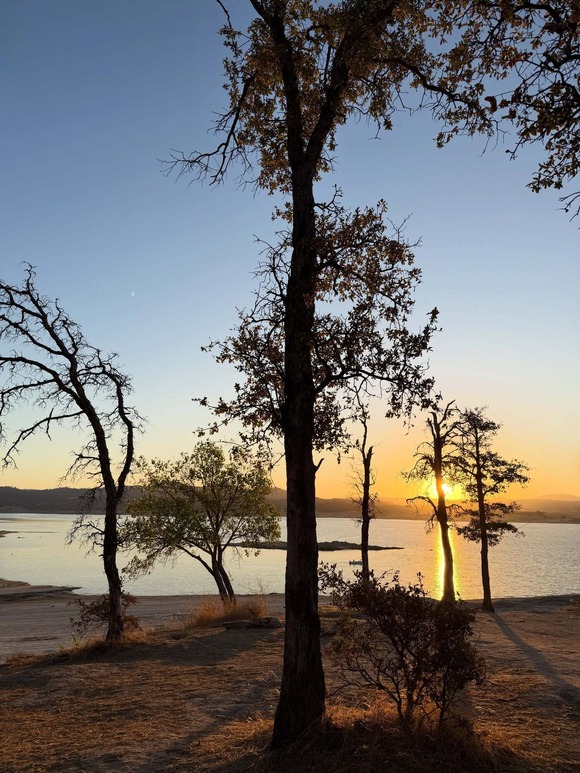 Sunrise glow: This #PlacerLife photo of a tree-lined beach and sunrise over Folsom Lake was taken by @SteveBHanson on Instagram.