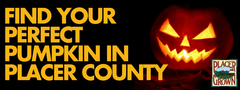 Animated graphic with flickering jack-o-lantern and yellow text reading Find Your Perfect Pumpkin in Placer County