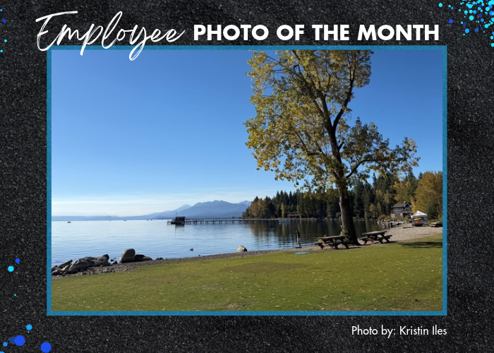 Employee photo of the month of Lake Tahoe at Commons beach with a large tree and picnic benches. 
