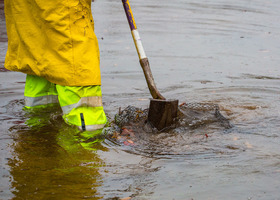 A person in reflective raingear shovels debris out of a drain surrounded by water to clear it.
