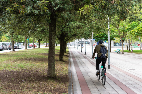 person biking in bike lane