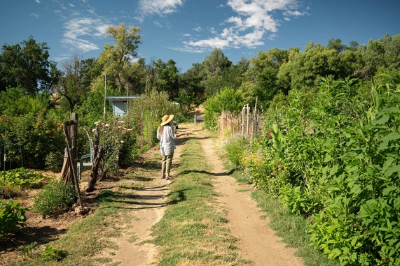 Matson, Mowder and Howe Community Garden