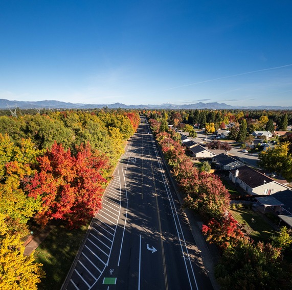 Free Leaf Disposal Program 