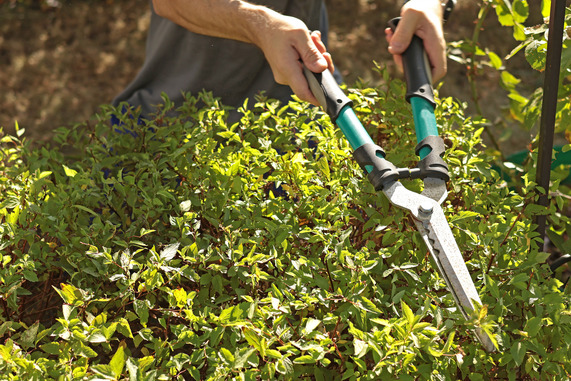 Spring Cleaning & Burn Permits 