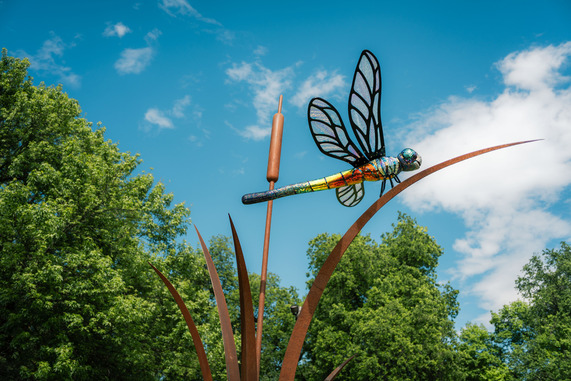 The Dragon Dancer