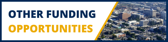 Other Funding Opportunities