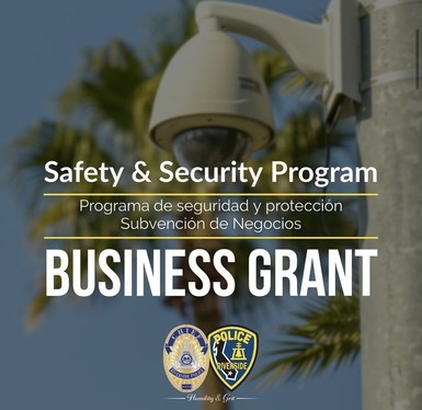 Small Business Security Grant