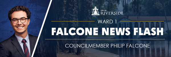 Ward 1 Falcone News Flash