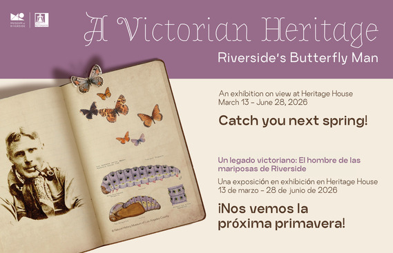 Riverside's Butterfly Man exhibition 