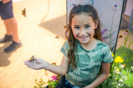 Child holding butterfly