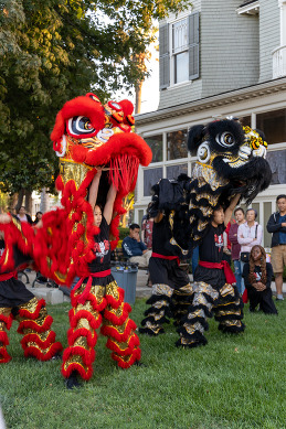 Lion dancers vertical