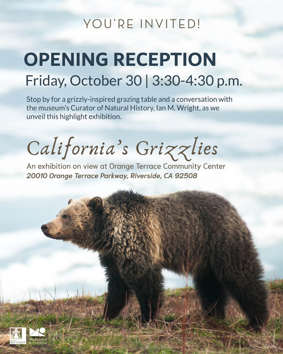 Grizzlies