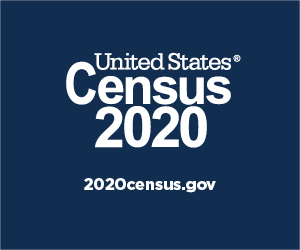 Census Partnership - 2020 