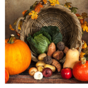A cornucopia filled with vegtables sitting on a table next to pumpkins and squashes.