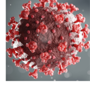 Covid-19 virus