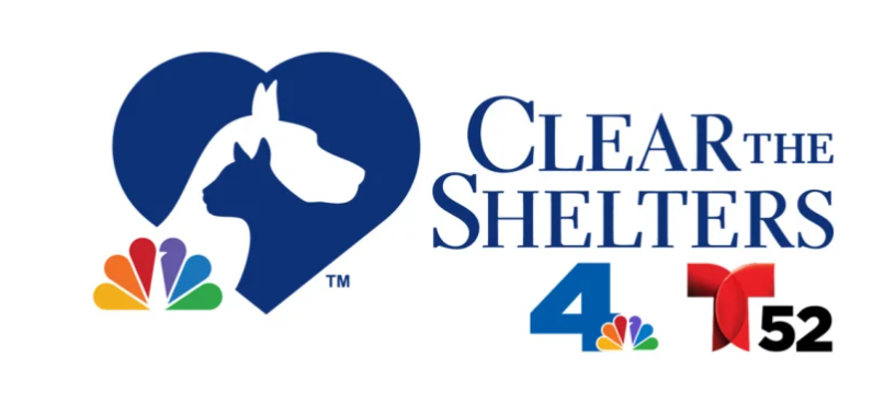clear shelters