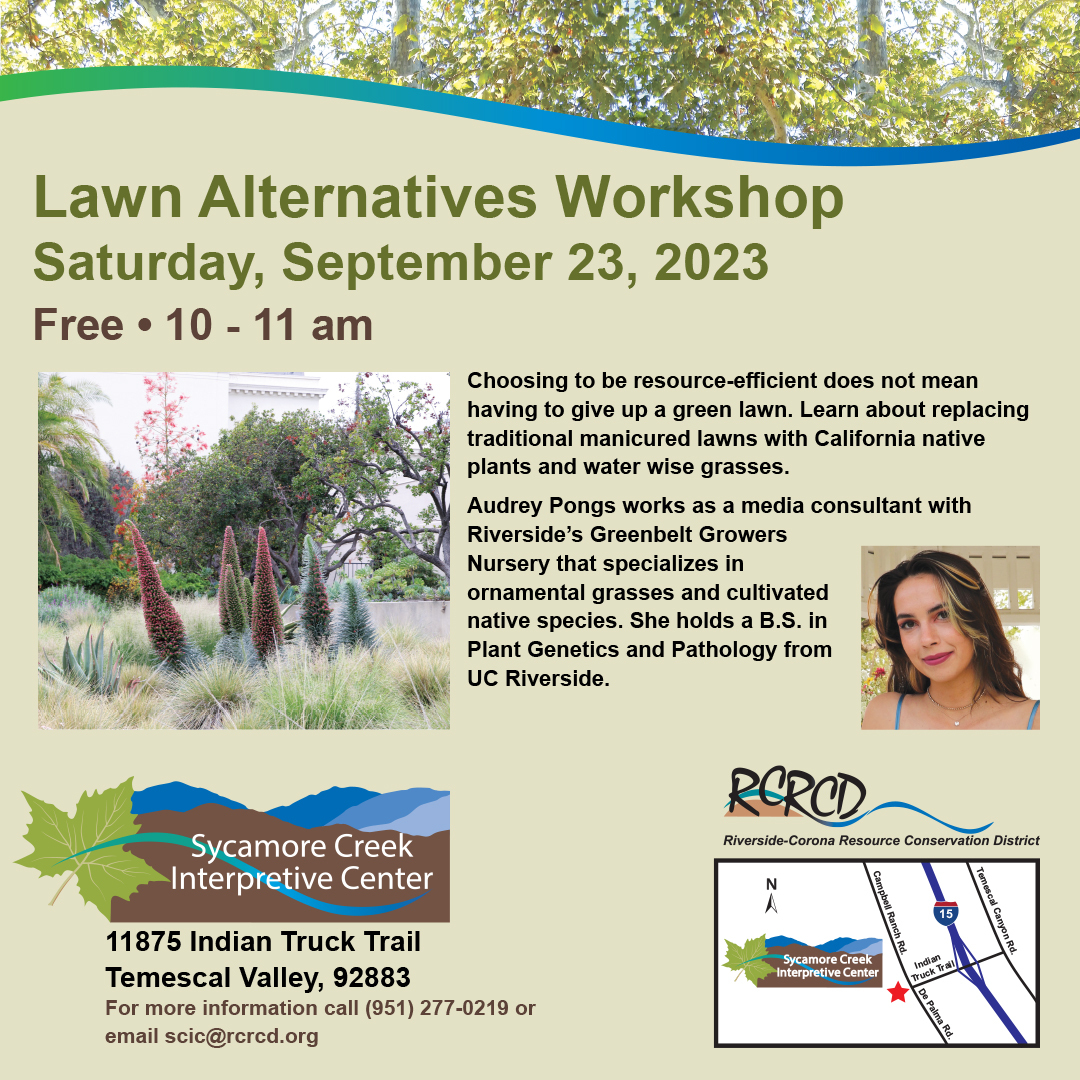 Lawn Alternatives Workshop