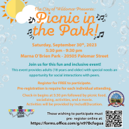 Picnic in the Park Flyer