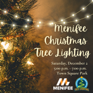 Menifee Tree Lighting