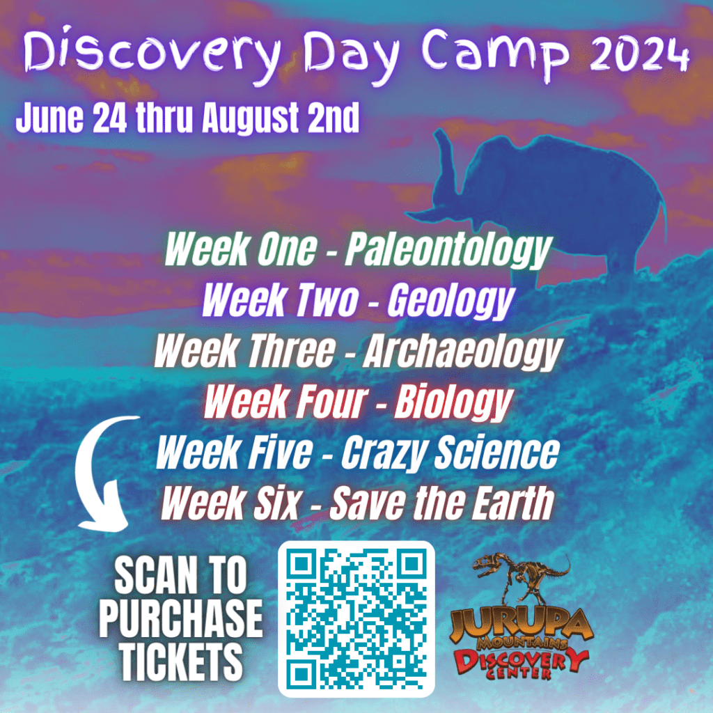 Discovery Camp