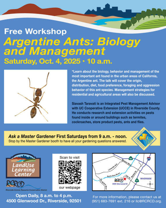 Ant Workshop