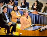 Lake Elsinore City Council