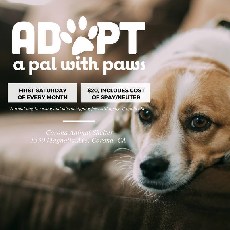 Adopt a Pal
