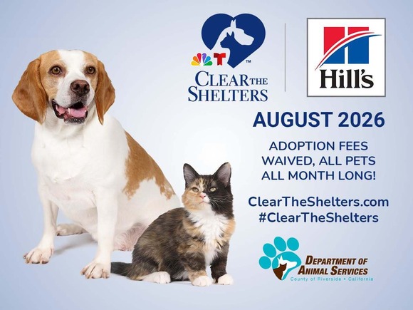 Clear The Shelters