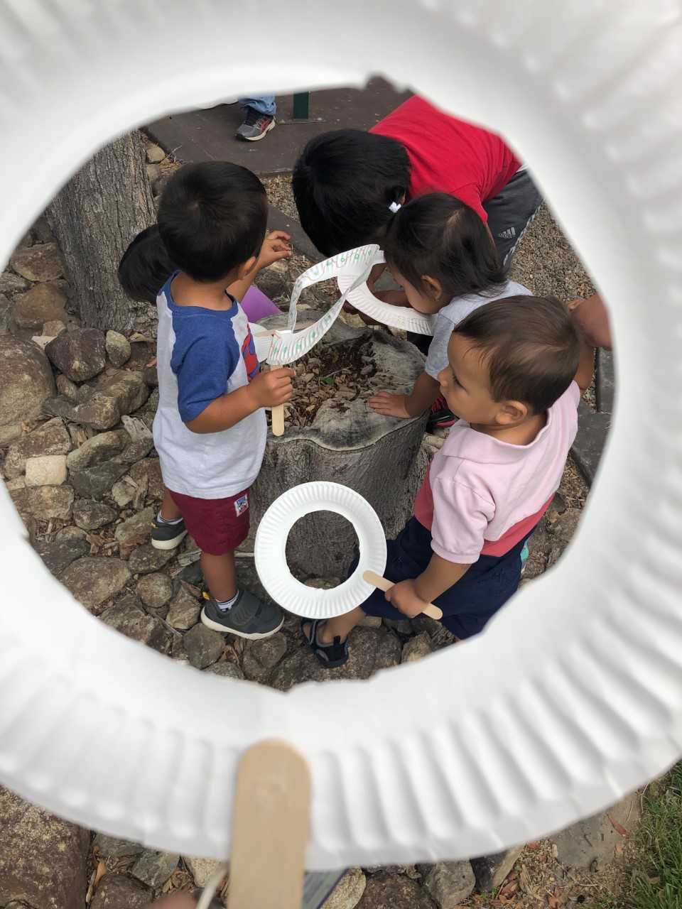 Little Nature Learners
