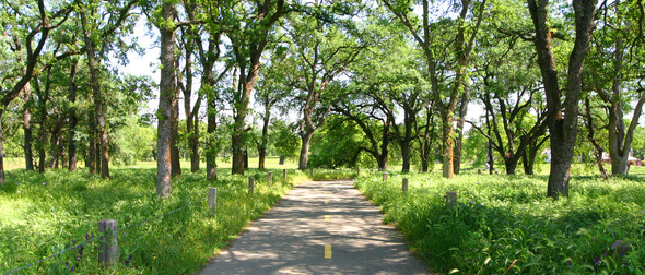 Bike trail