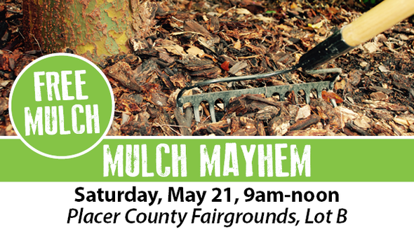mulch mayhem