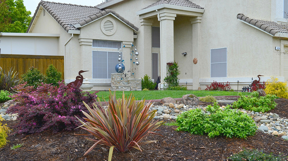 Greener Gardens Tour