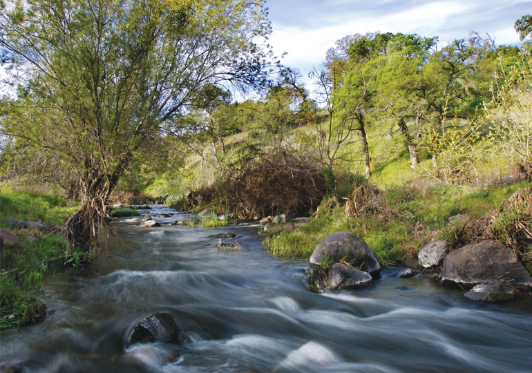 creek flood control